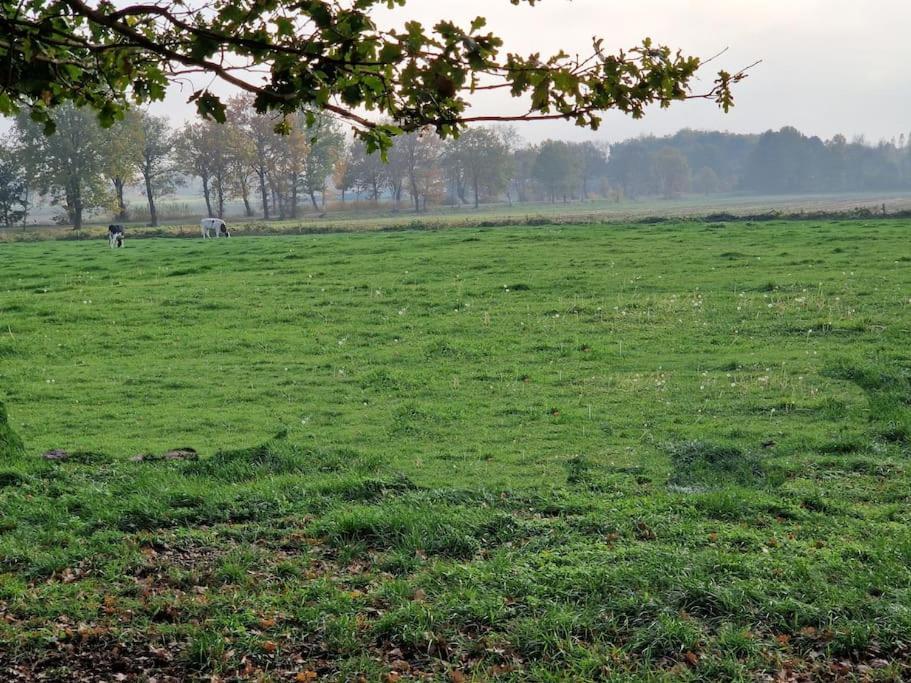 Gemuetliche Wohnung Direkt Am Kuestenkanal! Wardenburg Luaran gambar